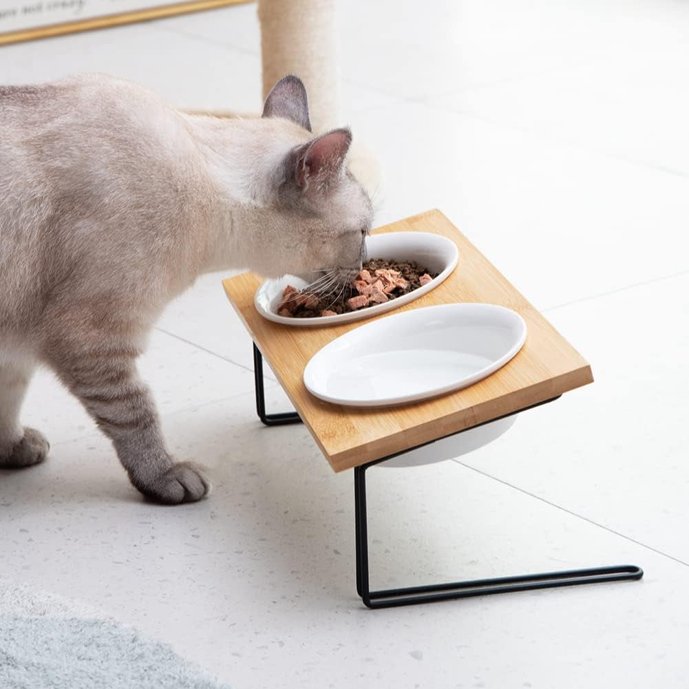 Ceramic Elevated Pet Bowls