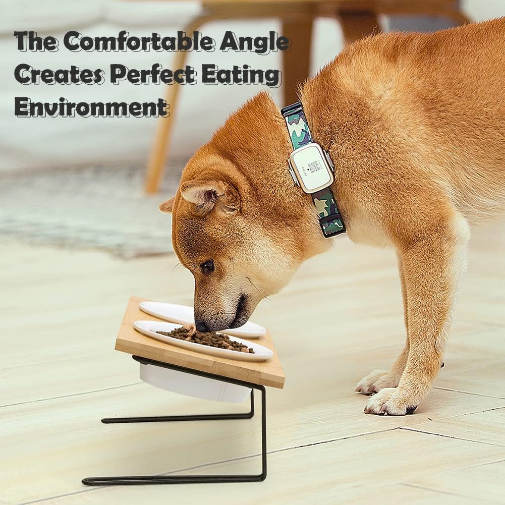 Ceramic Elevated Pet Bowls